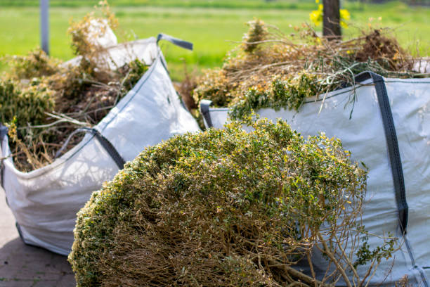 Best Electronics and E-Waste Disposal  in Plantsville, CT