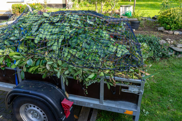 Best Appliance Removal  in Plantsville, CT